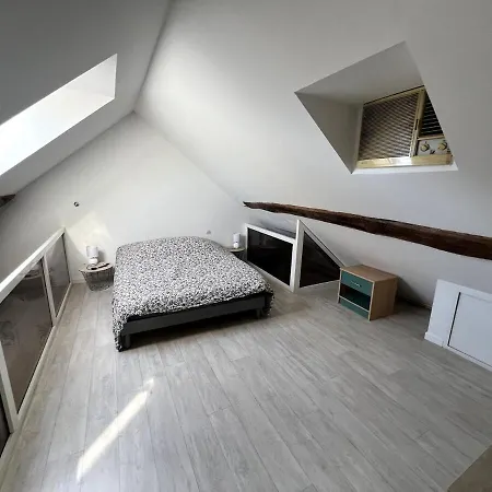 公寓 Le Saint Jacques - Premium Air-Conditioned Apartment 沙泰勒罗
